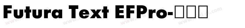 Futura Text EFPro字体转换